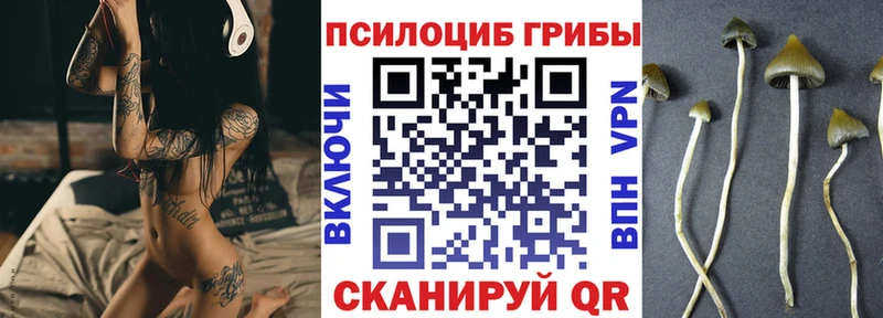 Галлюциногенные грибы Cubensis  где найти   Алатырь 
